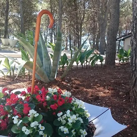 Διαμέρισμα Tila *